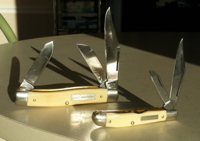 Peanut 95041 and Stockman 95044