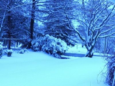 DSCN9522.JPG