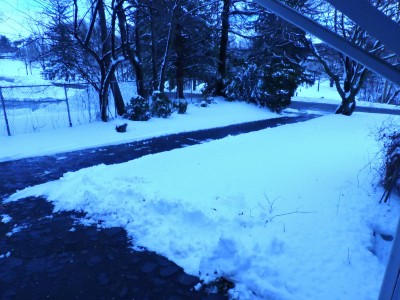 DSCN9524.JPG