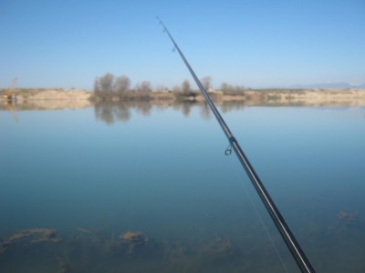IMG_5265.JPG
