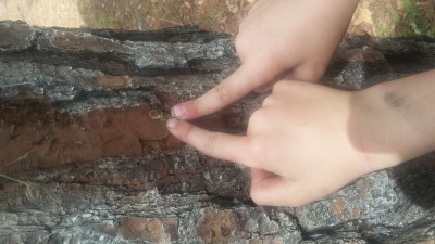 20180311_142956.jpg