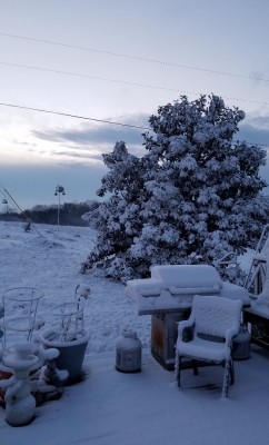 20180312_073019.jpg