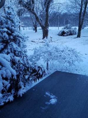 20180312_073244.jpg
