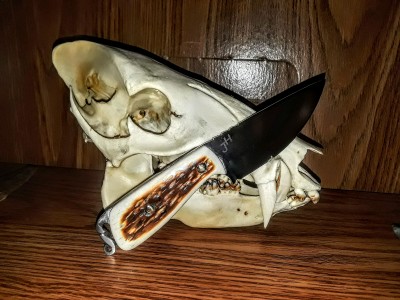 20180313_002025.jpg
