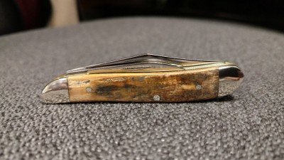 Case Mammoth2.jpg