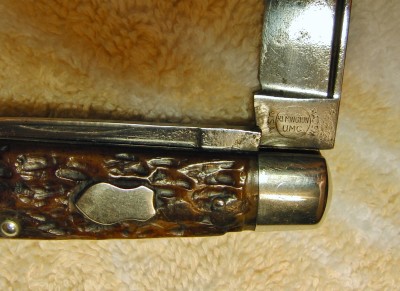 CIMG7381.JPG