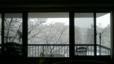 WP_20180321_005.jpg