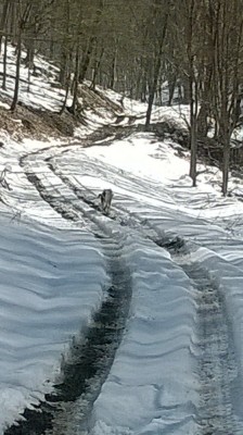 WP_20180324_003.jpg