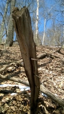 WP_20180324_015.jpg