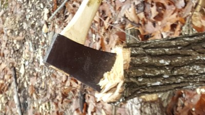 20180223_141634.jpg