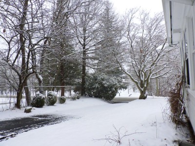 DSCN9855.JPG