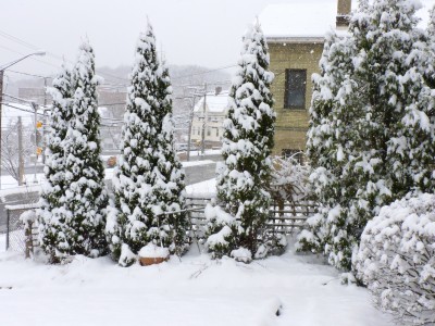 DSCN9896.JPG