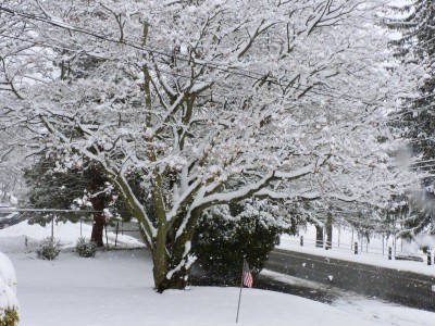 DSCN9897.JPG