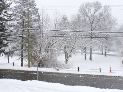DSCN9898.JPG