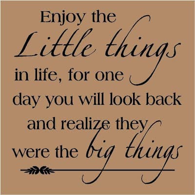 enjoy-the-little-things-for-one-day-you-may-look-back-and-realize-they-were-the-big-things-18.jpg