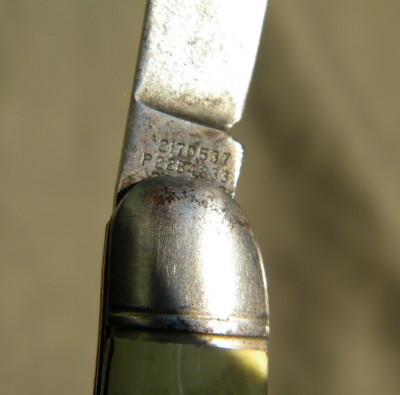DSCN8998_InPixio.jpg