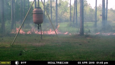 Fire coming toward camera, not much danger as the grass was shot and green but the camera was on a tree that was in some heavy vegetation.