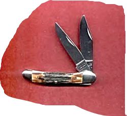 Parker Edwards Stag by Wendell Carson.jpg
