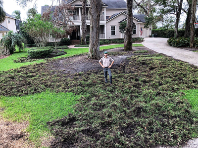 Lawn damage (not me, not my house)