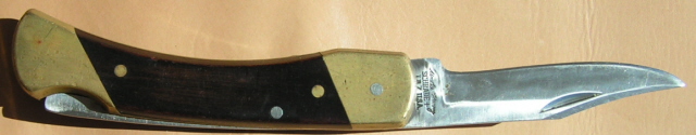 PICT0017cs.jpg
