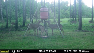 MFDC0934.JPG (630.83 KiB) Viewed 2870 times Now you can count them