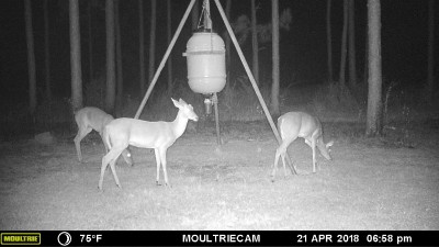 MFDC0714.JPG (506.16 KiB) Viewed 2870 times Different angle
