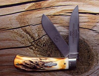 gec_23_stag.jpg