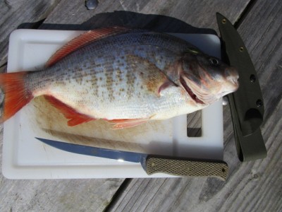 IMG_6746.JPG