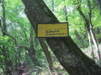 IMG_5385.JPG