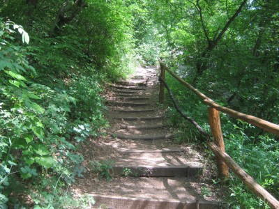 IMG_5387.JPG