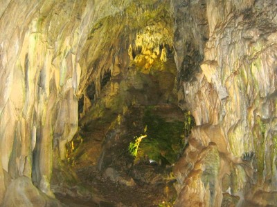 IMG_5397.JPG