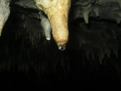 IMG_5400.JPG