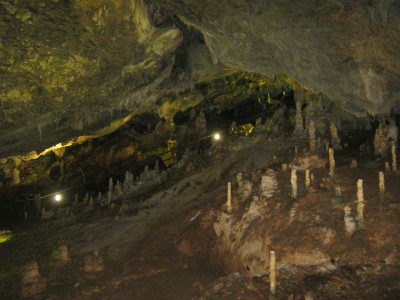 IMG_5404.JPG