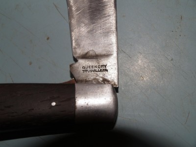 hawkbill2.JPG
