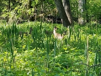 20180509_093318.jpg