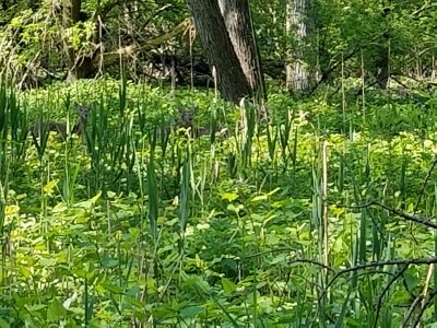 20180509_093327.jpg