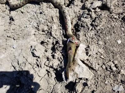 20180511_163402.jpg
