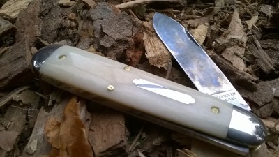 WP_20180313_013.jpg