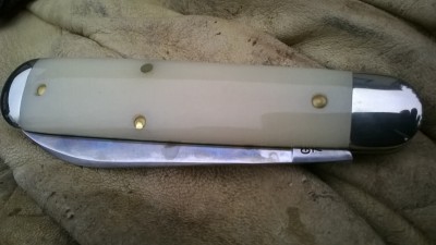 WP_20180213_044.jpg