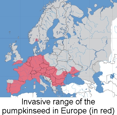 Europe_Lepomis_map.jpg