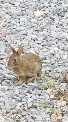 20180529_063745.jpg