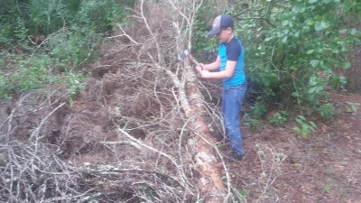 20180529_100811.jpg