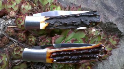 WP_20180531_026.jpg