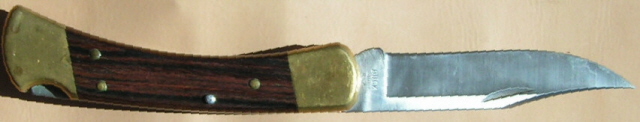PICT0018cs3.jpg