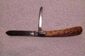 Terrier Saddlehorn #2B.jpg