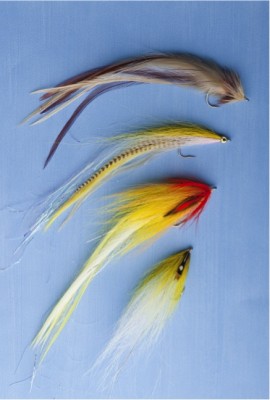 Saltwater Flies.jpg