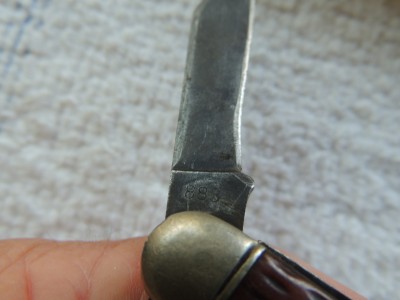 DSCN4497.JPG
