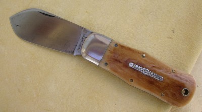 IMGP4401.JPG