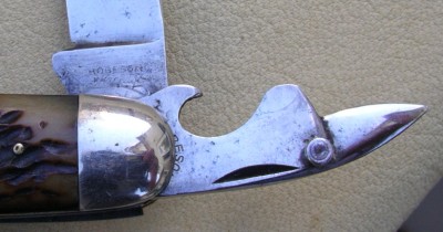 IMGP4510.JPG