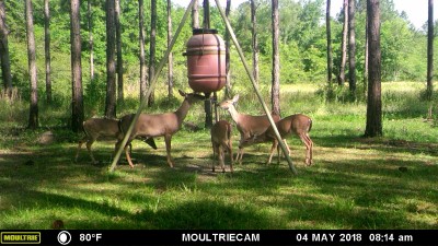 MFDC2375.JPG